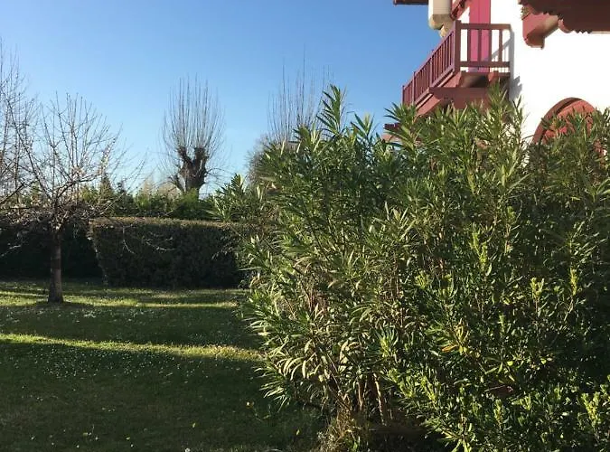 Studio Ongui Ethorri Apartamento